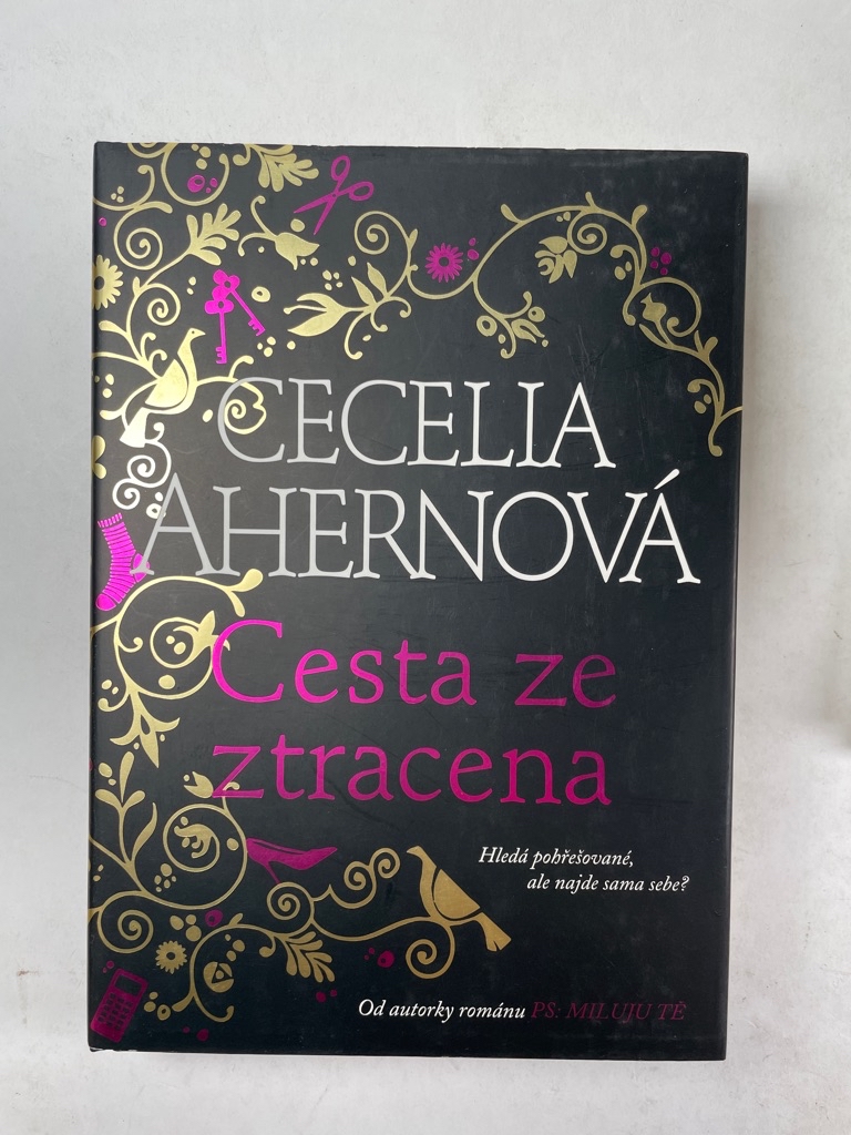Levně Cesta ze ztracena Pevná (2008)