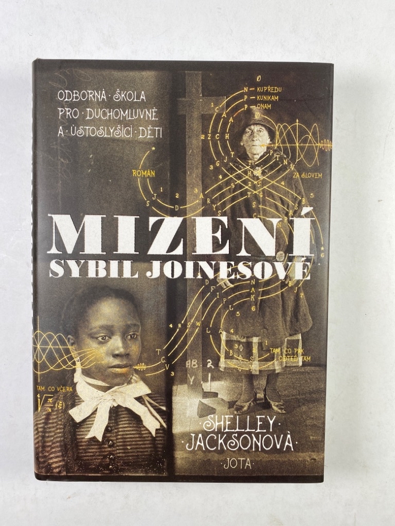 Levně Mizení Sybil Joinesové