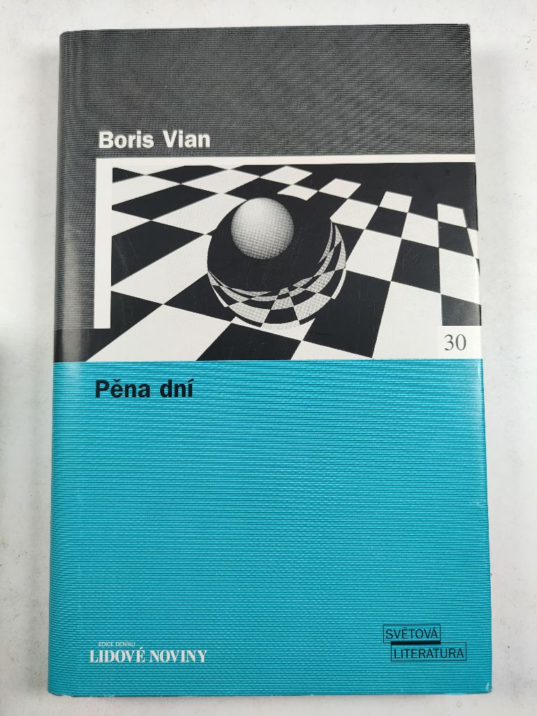 Pěna dní Pevná (2005)