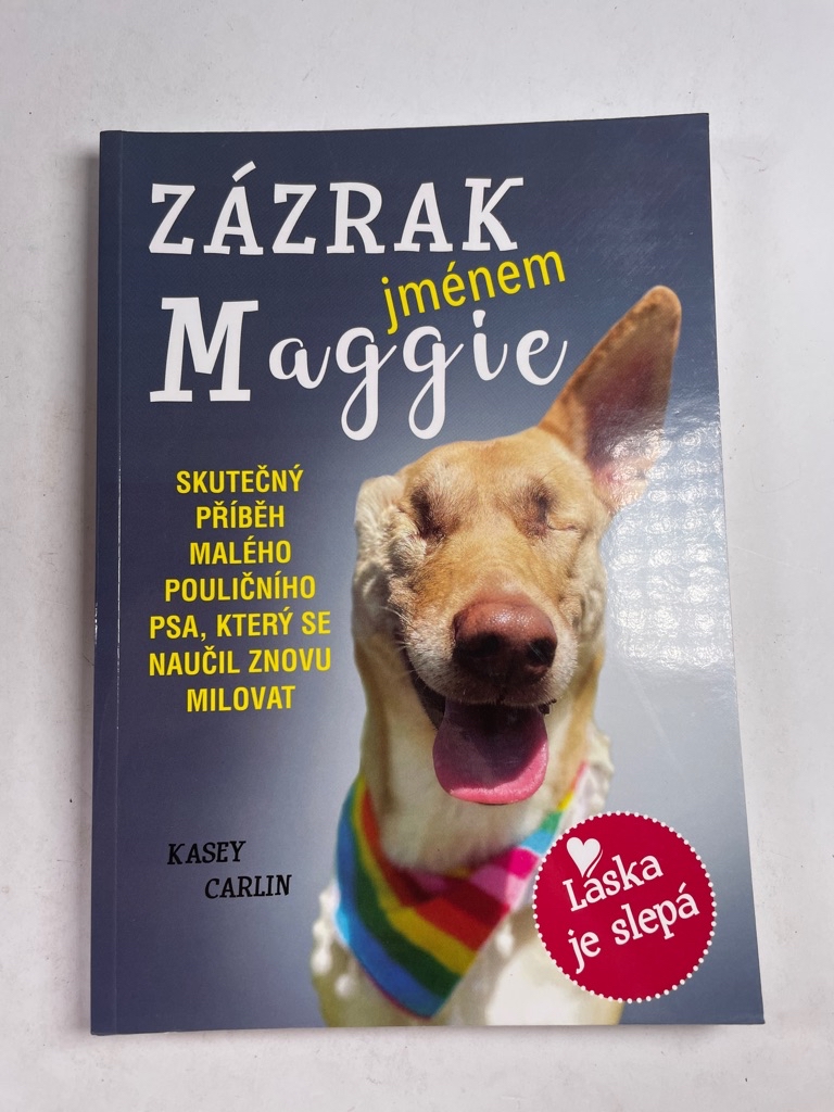 Zázrak jménem Maggie