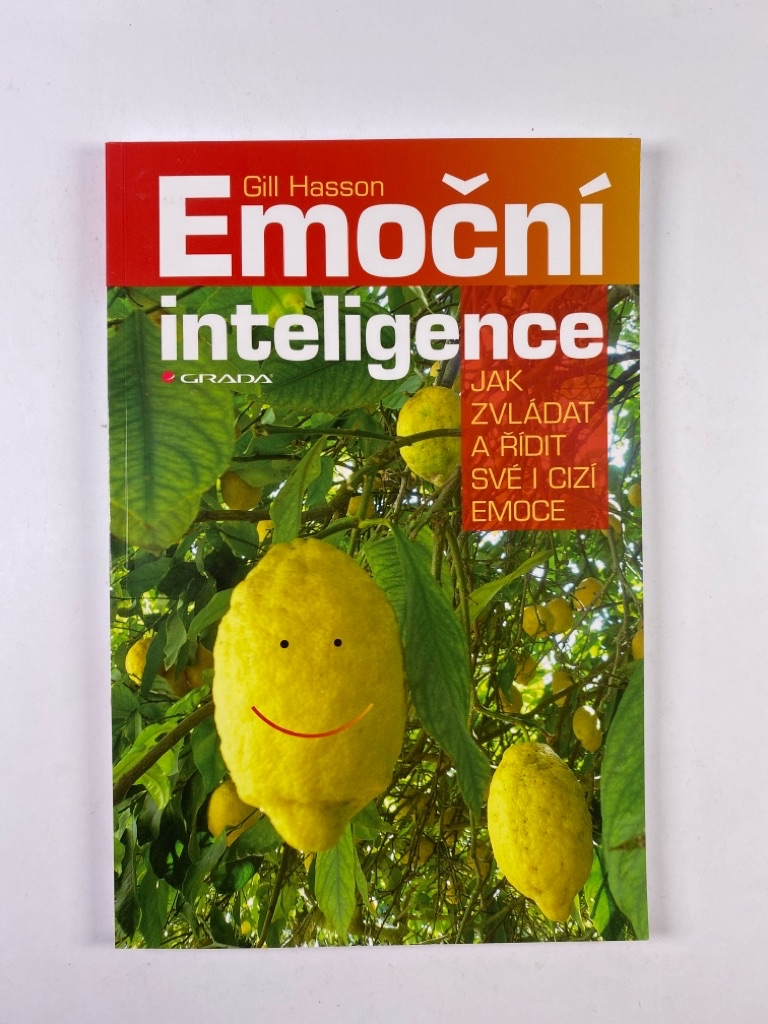 Emoční inteligence - Jak zvládat a řídit své i cizí emoce