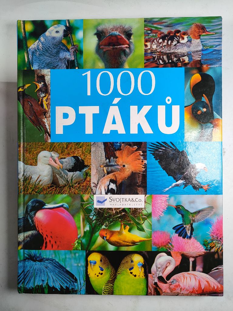 1000 ptáků Pevná (2007)