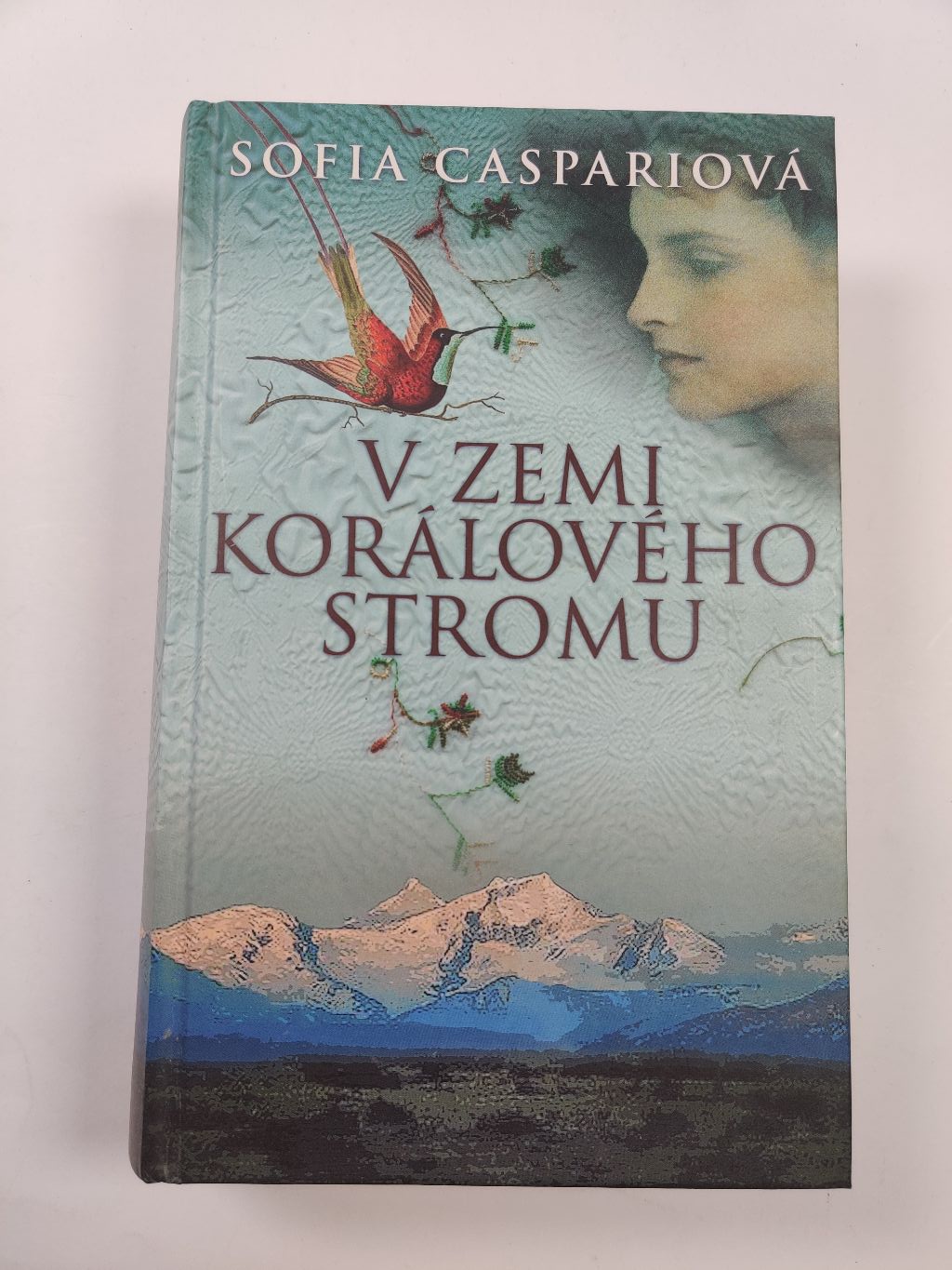 Levně Argentinská sága: V zemi korálového stromu (1) Pevná (2016)