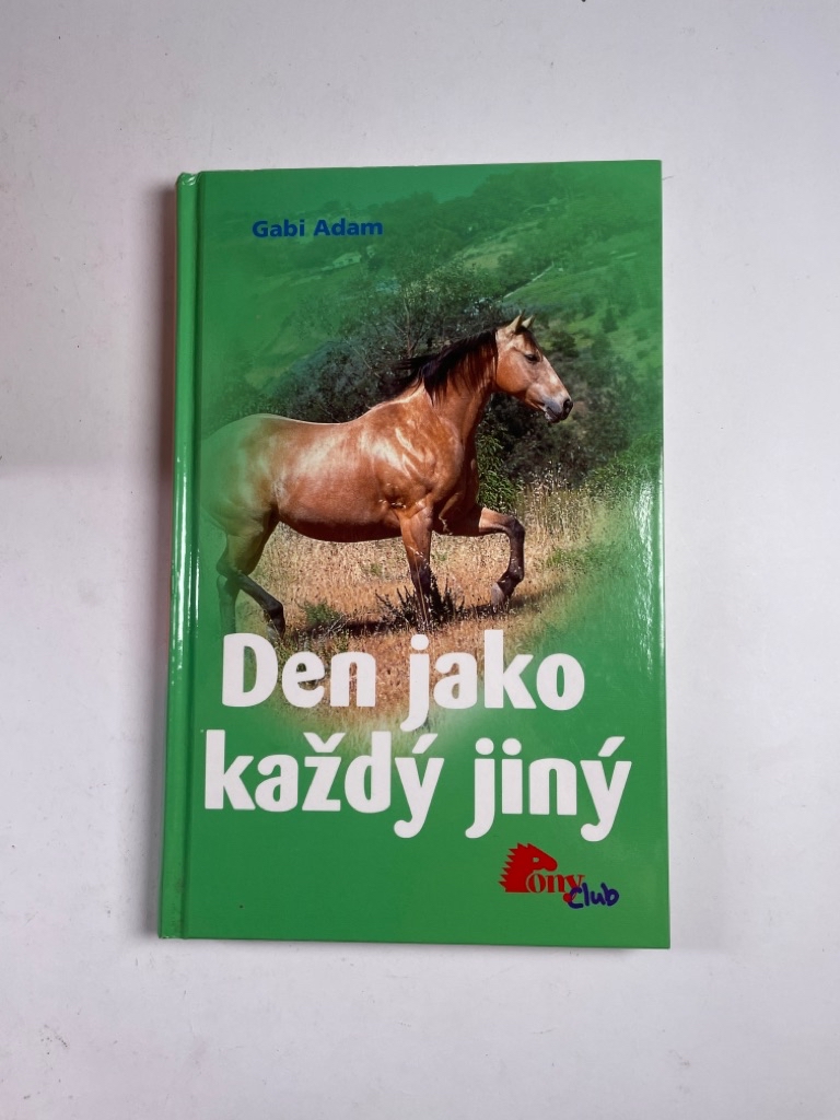 Levně Diablo: Den jako každý jiný (11) Pevná (2009)