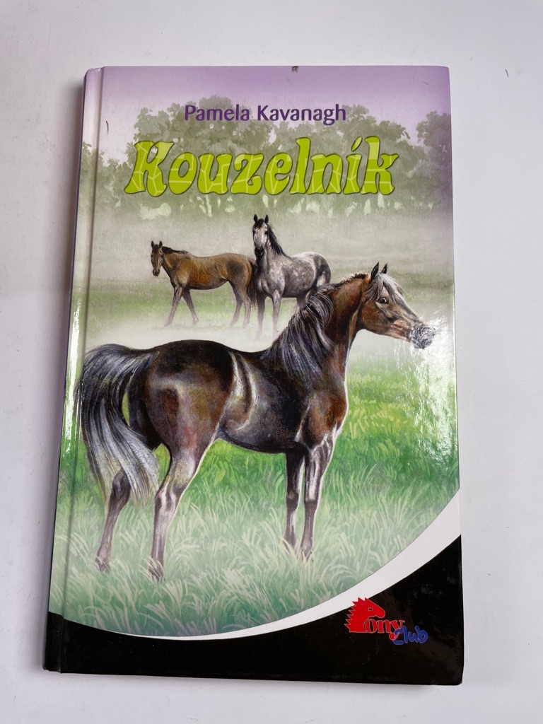 Levně Kouzelník Pevná (2009)