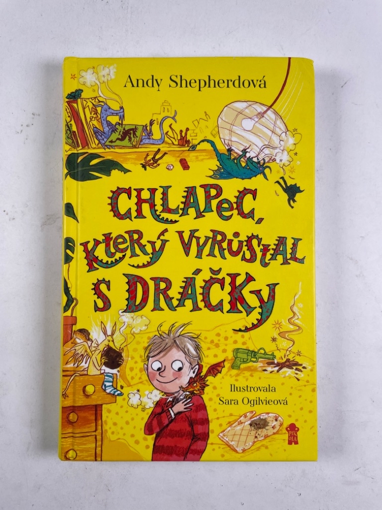 Levně Chlapec, který vyrůstal s dráčky
