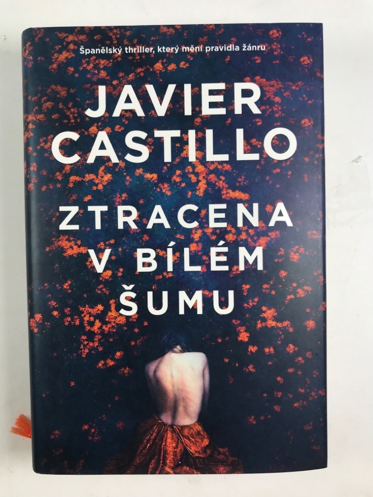 Levně Ztracena v bílém šumu