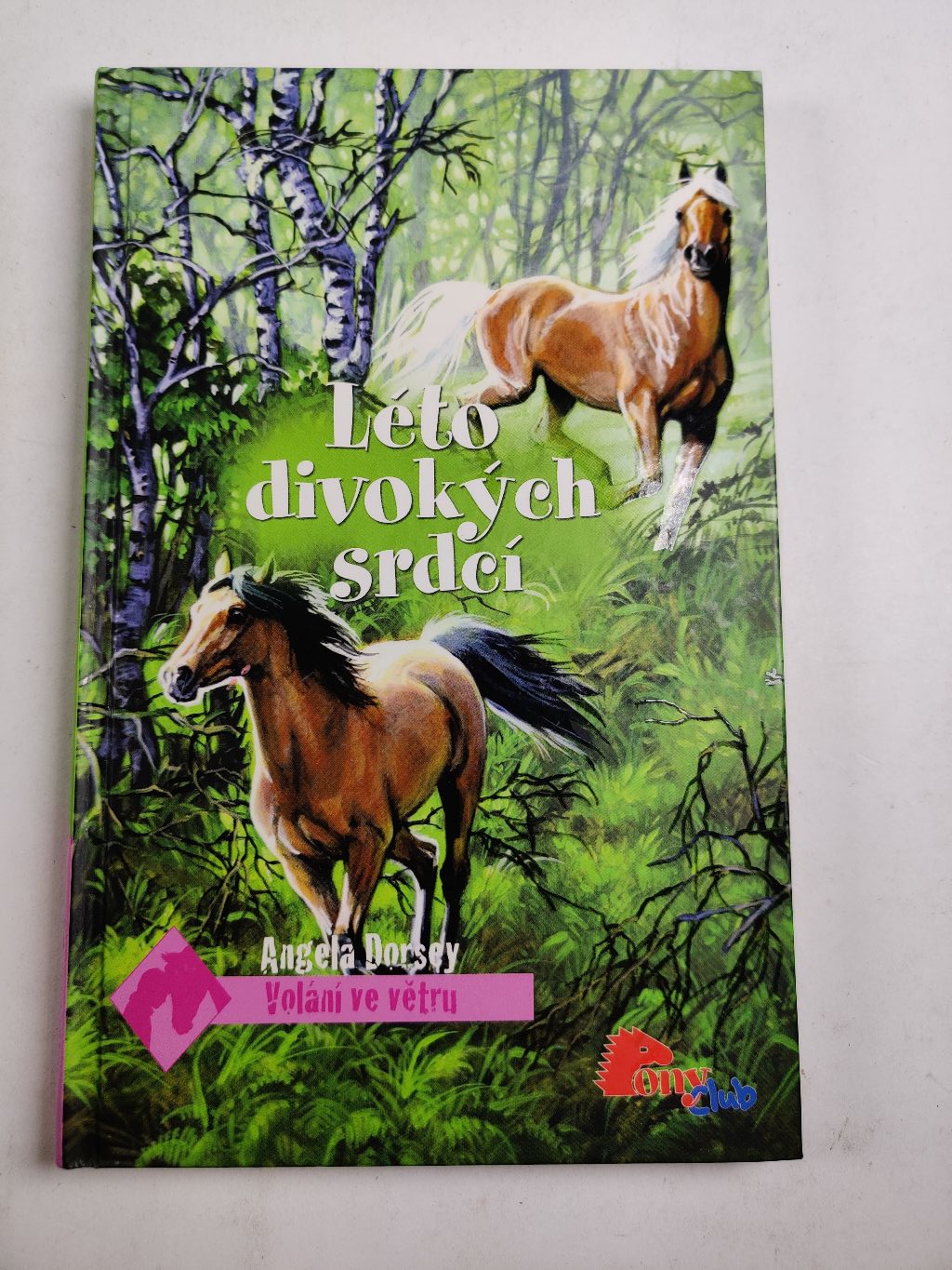 Volání ve větru: Léto divokých srdcí (3) Pevná (2010)