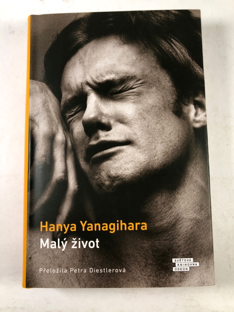 Malý život Pevná (2022)