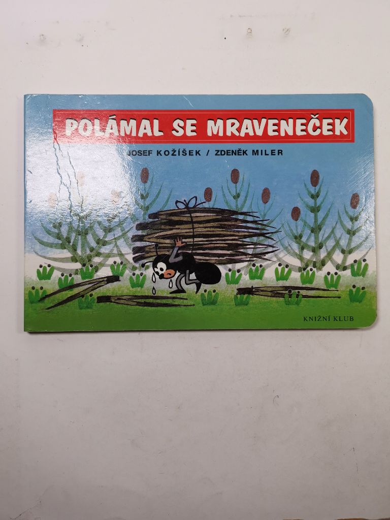 Levně Polámal se mraveneček Pevná (2003)