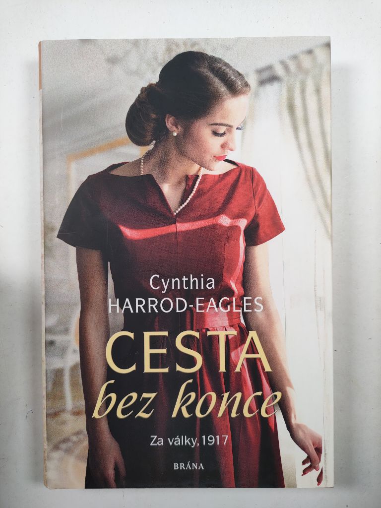 Za války, 1917: Cesta bez konce