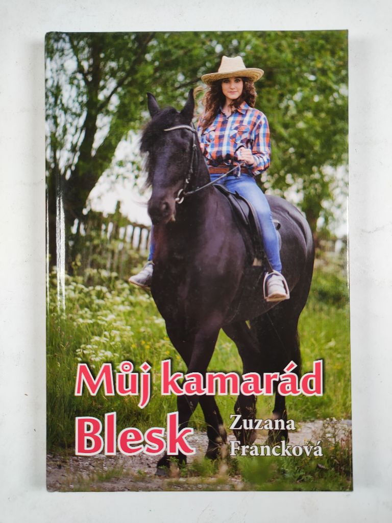 Můj kamarád Blesk Pevná (2017)
