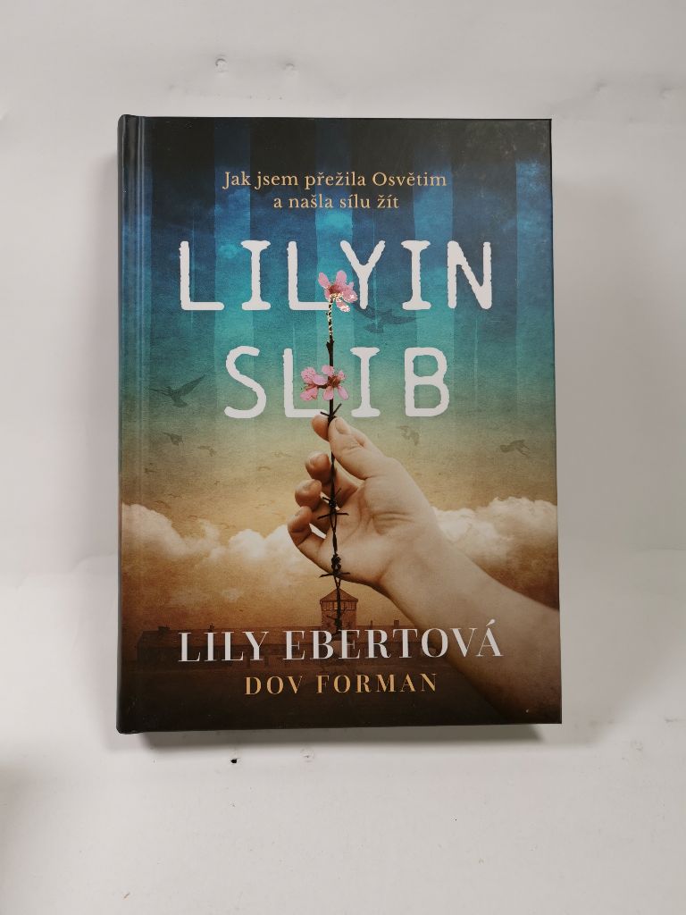 Levně Lilyin slib