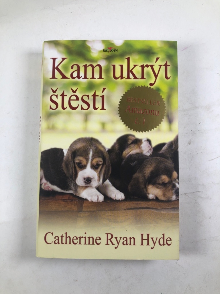 Levně Kam ukrýt štěstí