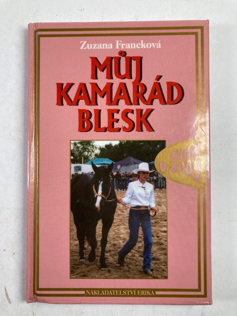 Můj kamarád Blesk Pevná (2002)