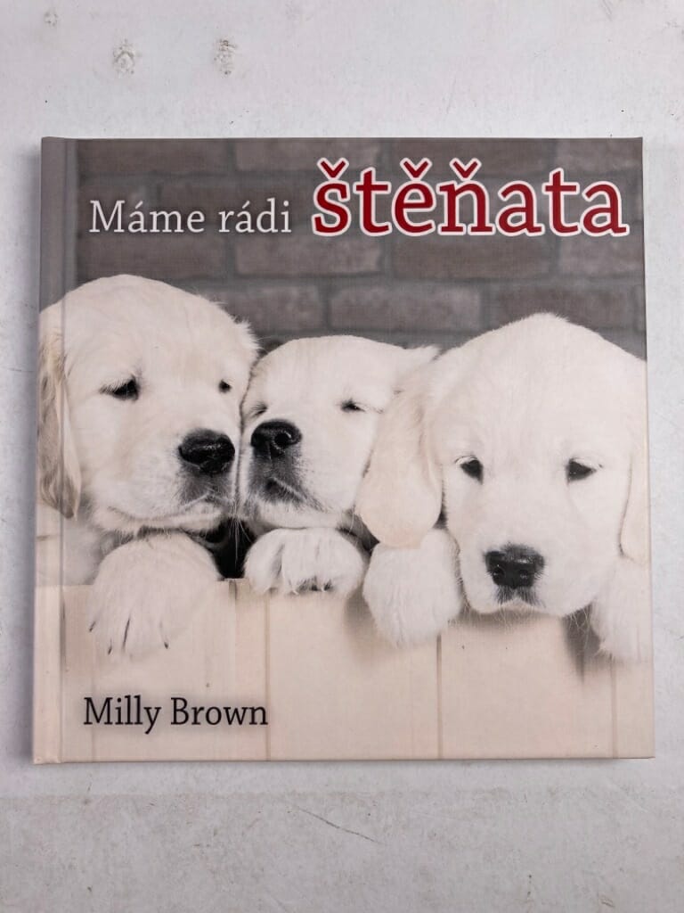 Levně Máme rádi štěňata