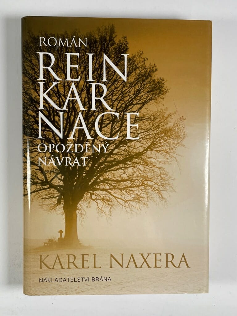 Reinkarnace - Opožděný návrat