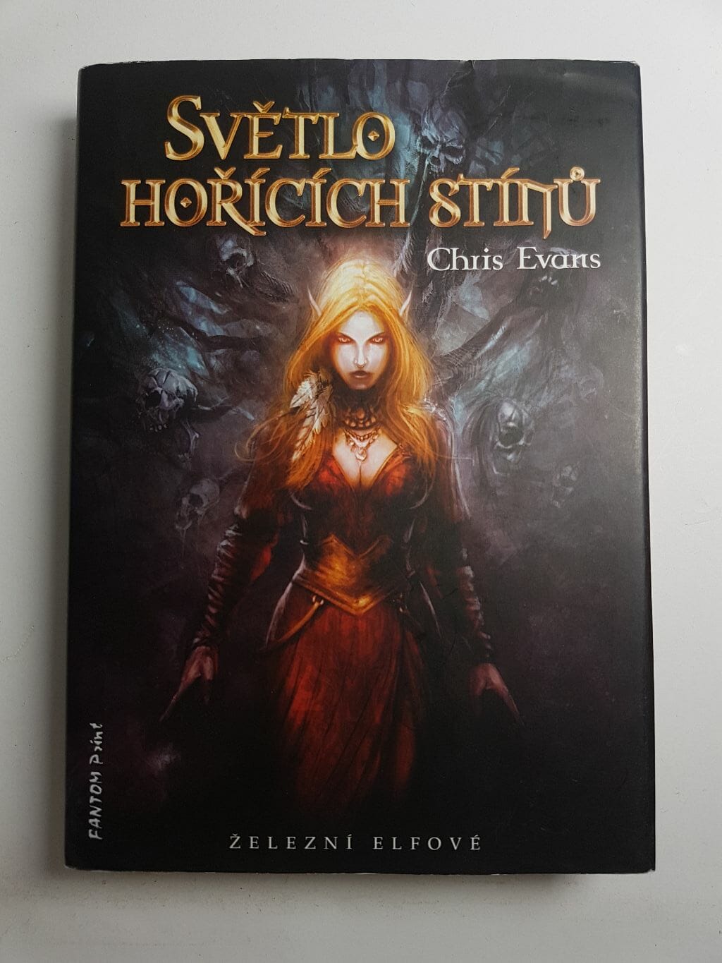 Levně Železní elfové: Světlo hořících stínů (2)
