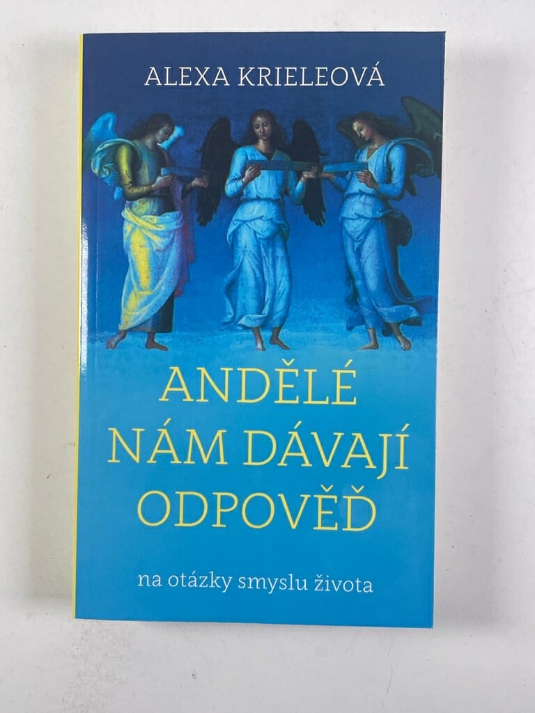 Levně Andělé nám dávají odpověď na otázky smyslu života Měkká (2016)
