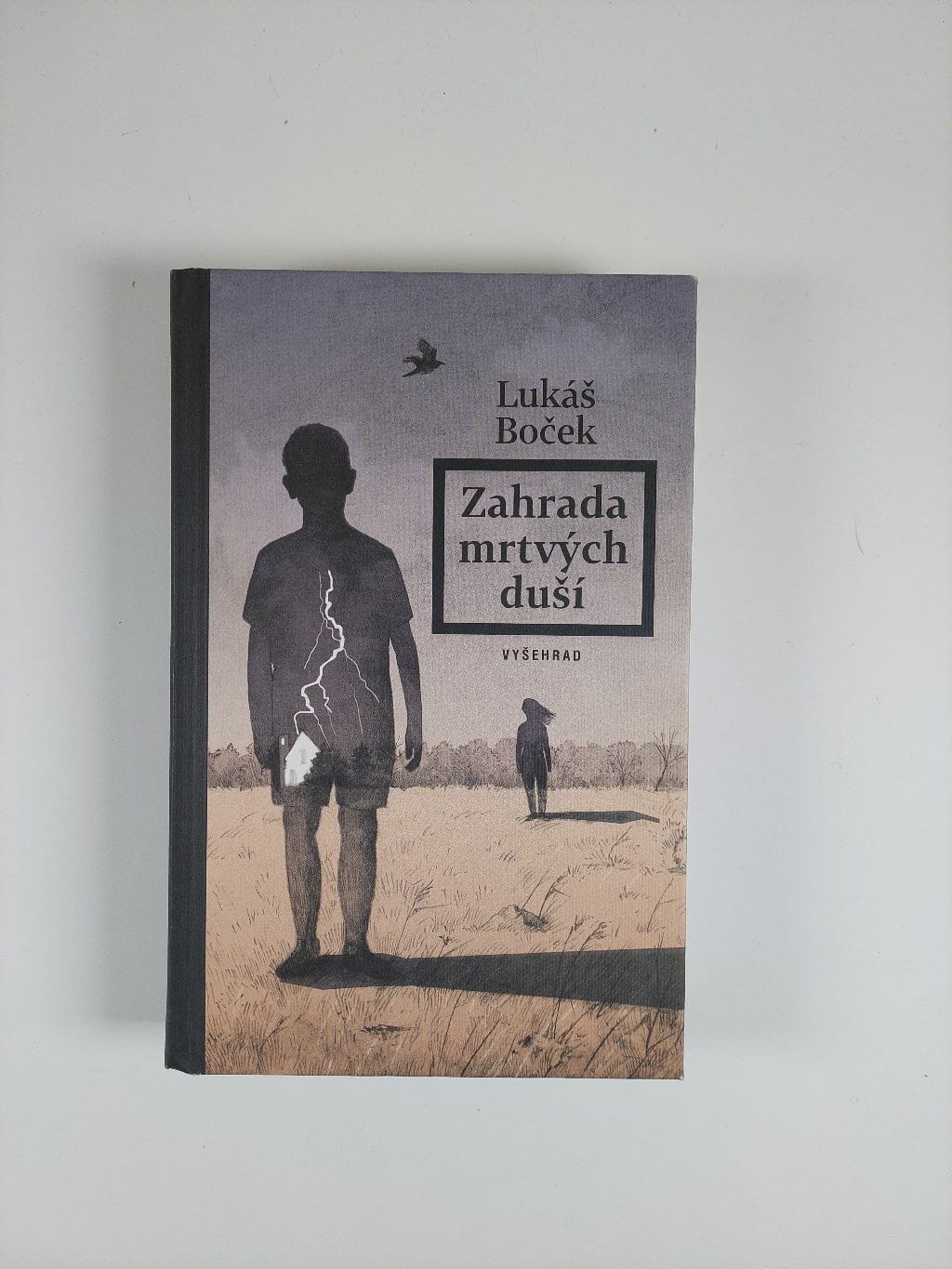 Levně Zahrada mrtvých duší