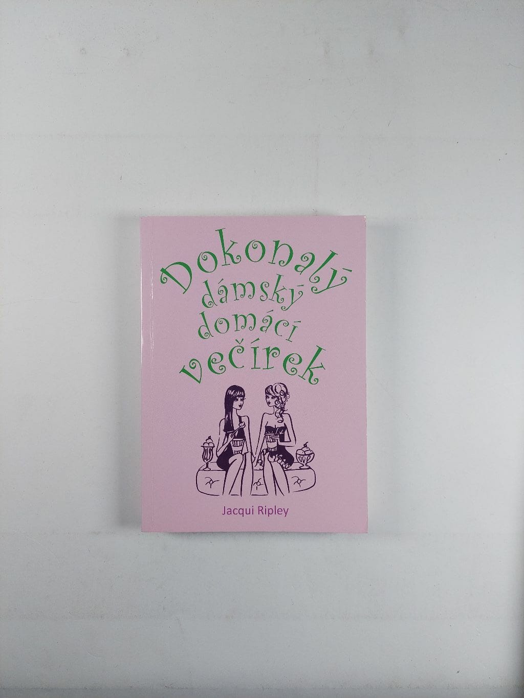 Levně Dokonalý dámský domácí večírek