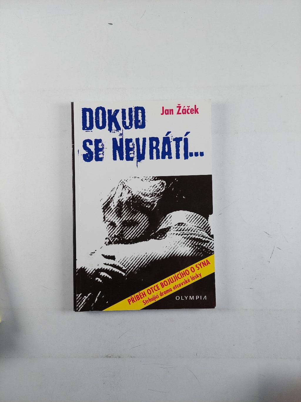 Dokud se nevrátí…