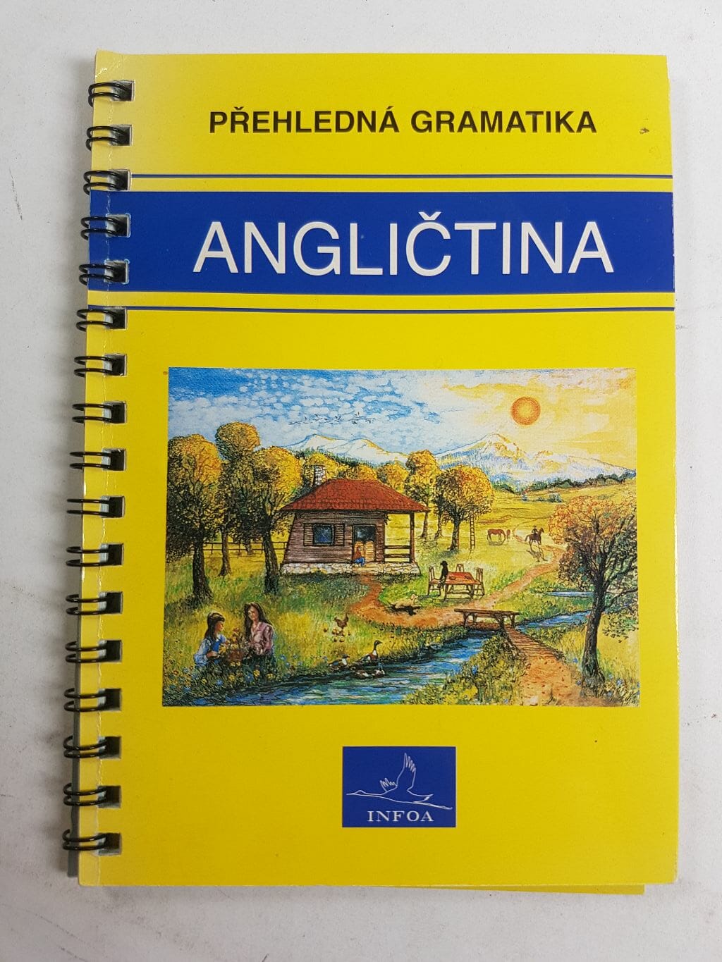 Levně Angličtina – přehledná gramatika Měkká (2009)