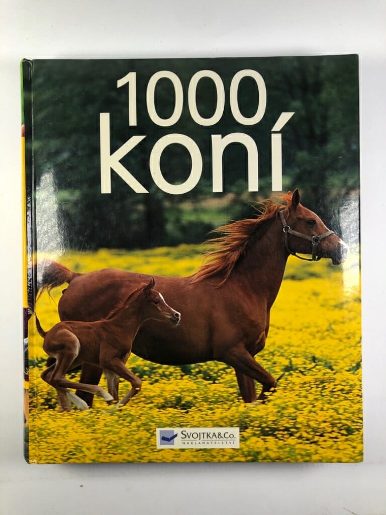 Levně 1000 koní