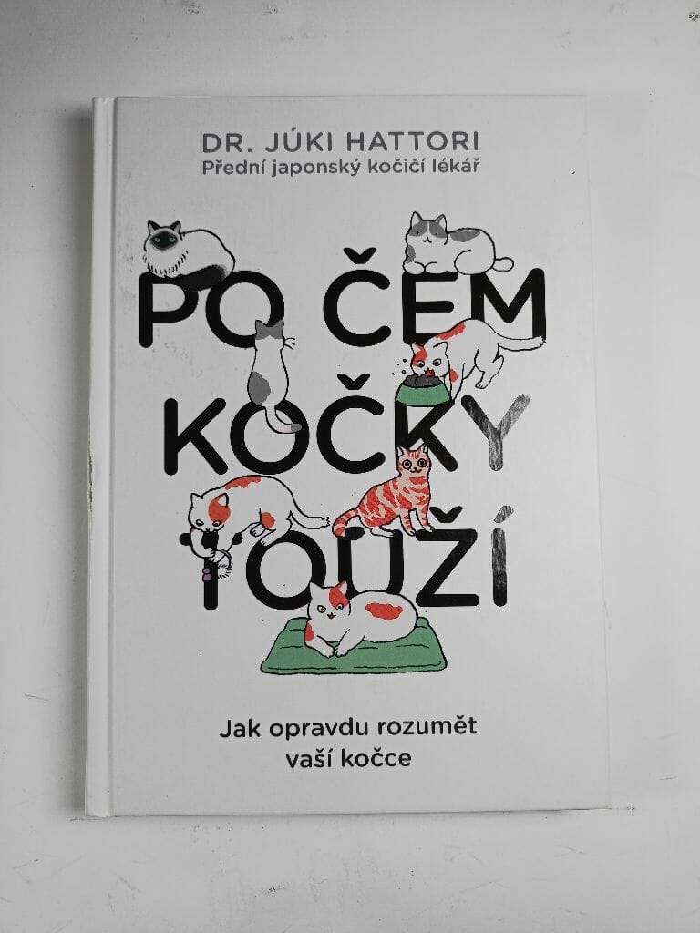 Levně Po čem kočky touží