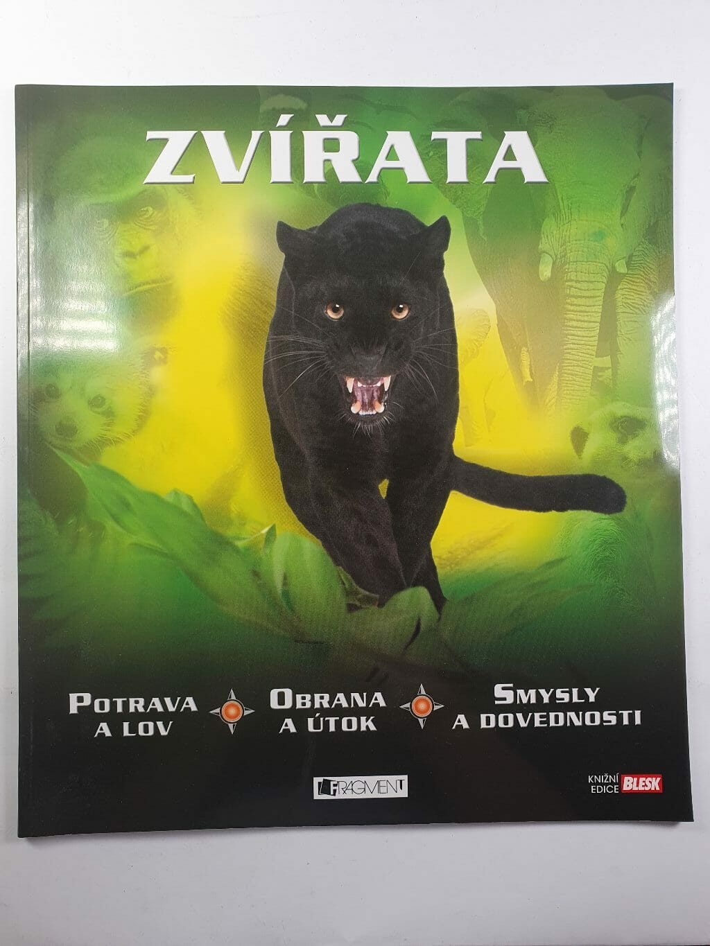 Levně Zvířata- potrava a lov, obrana a útok, smysly a dovednosti