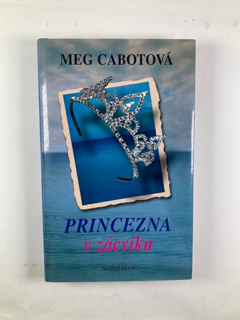 Levně Princezna v zácviku