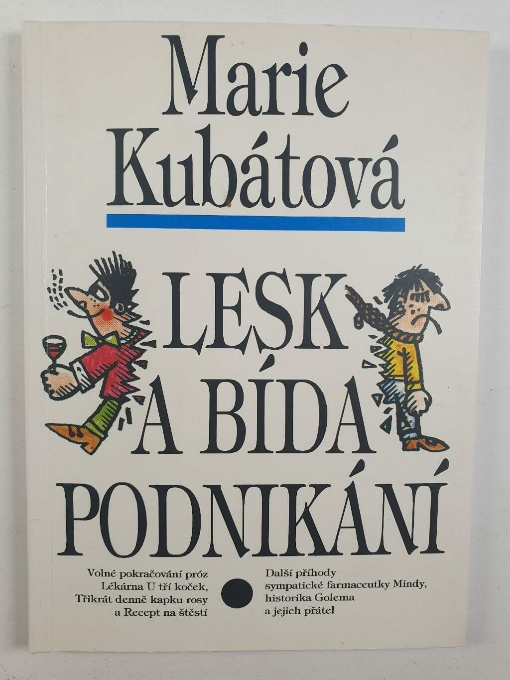 Levně Lesk a bída podnikání