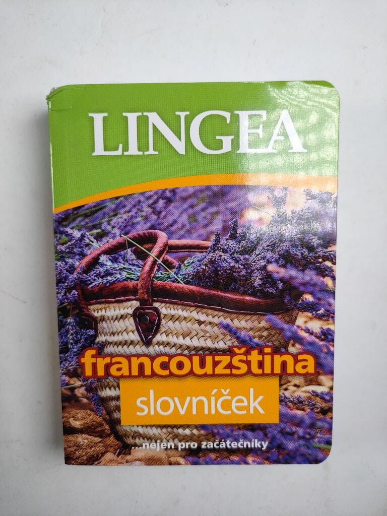 Levně Francouzština - slovníček Měkká (2020)