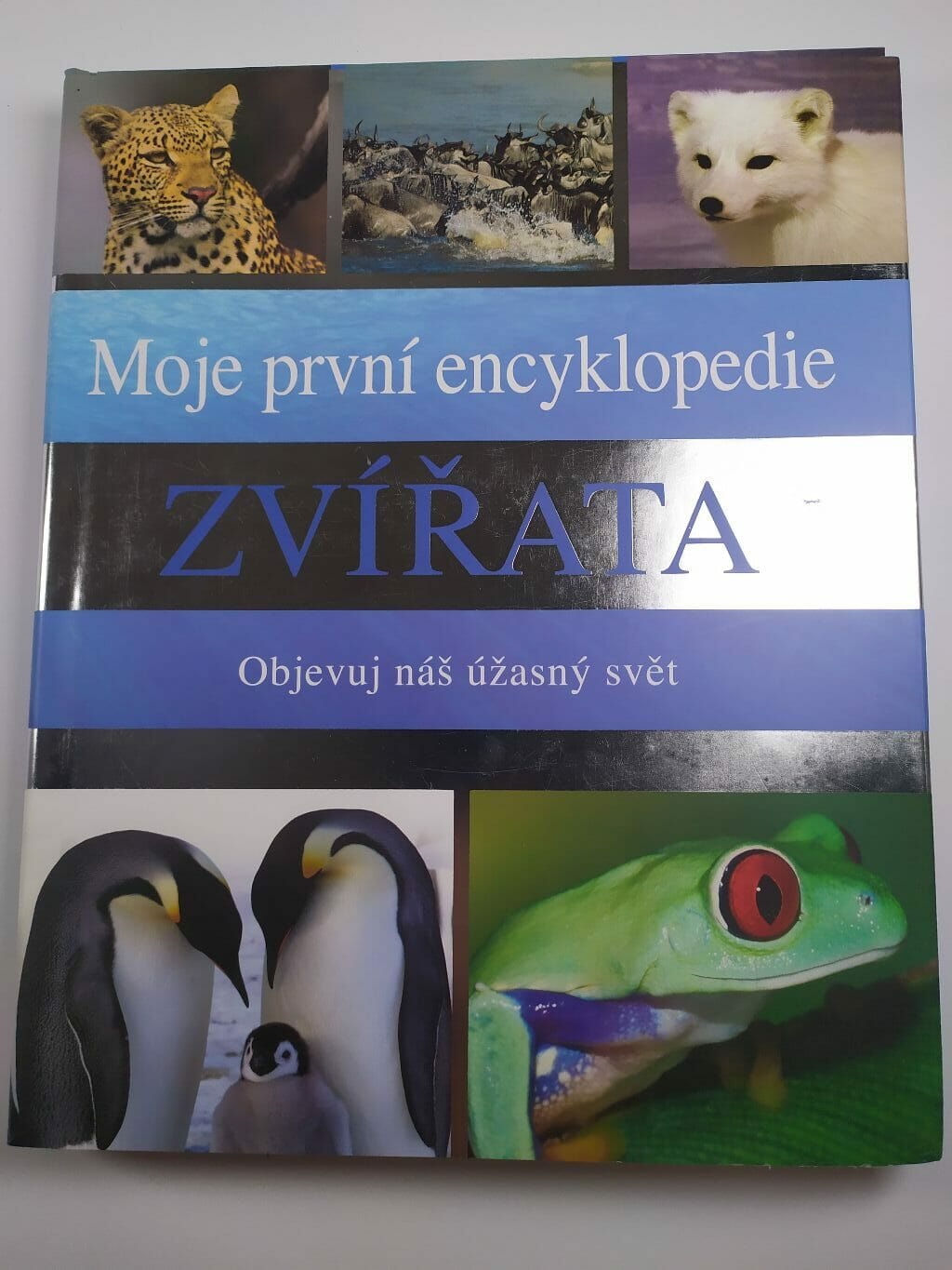 Levně Moje první encyklopedie: Zvířata