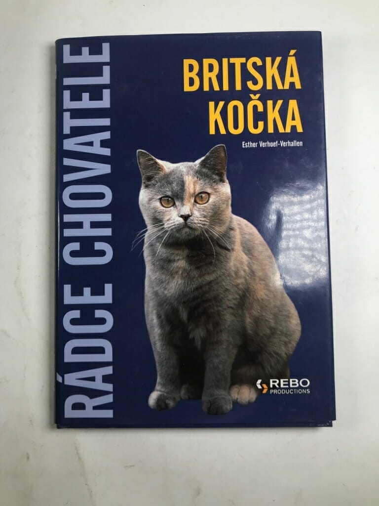 Britská kočka Pevná (2008)