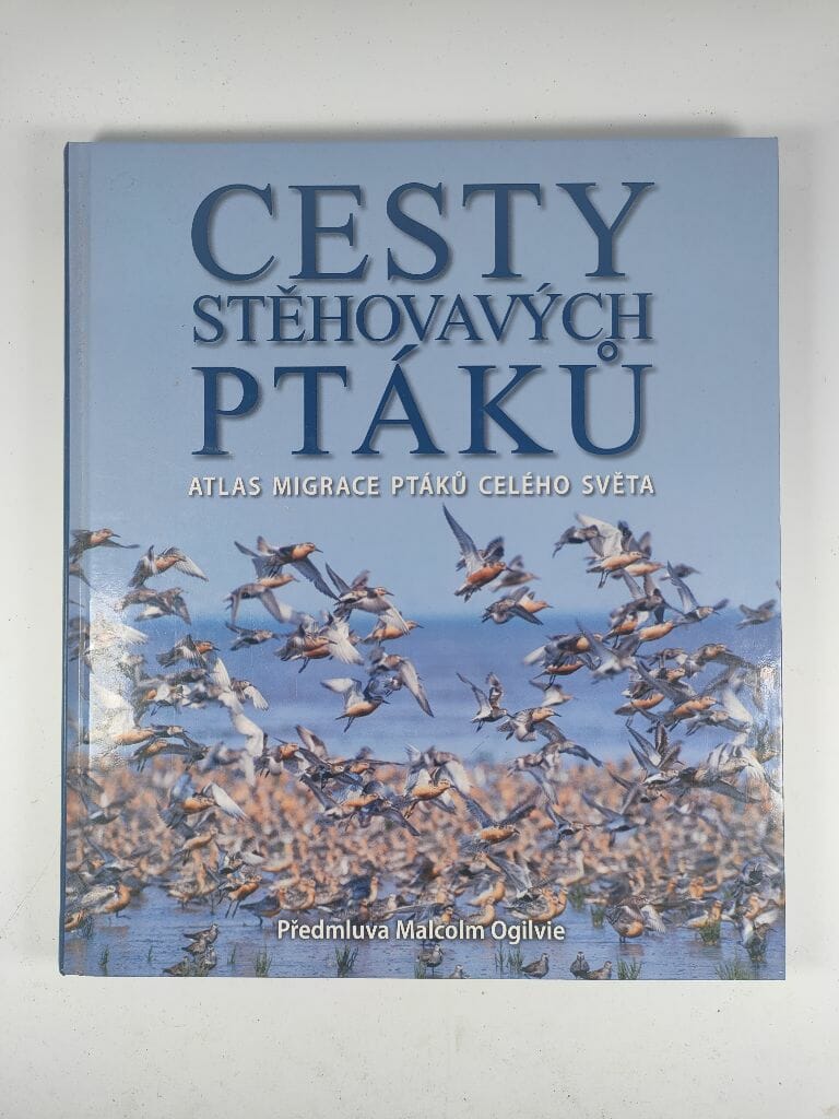 Levně Cesty stěhovavých ptáků
