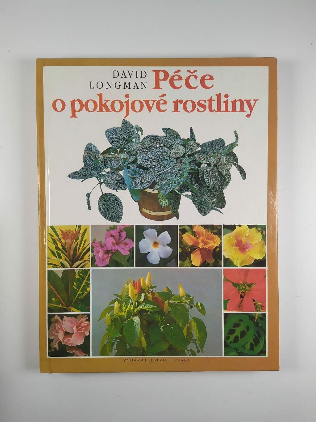Levně Péče o pokojové rostliny Pevná (2000)