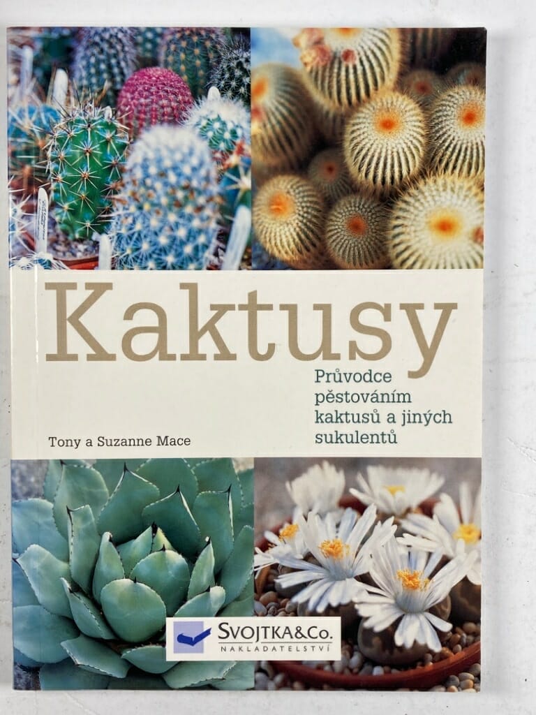 Levně Kaktusy