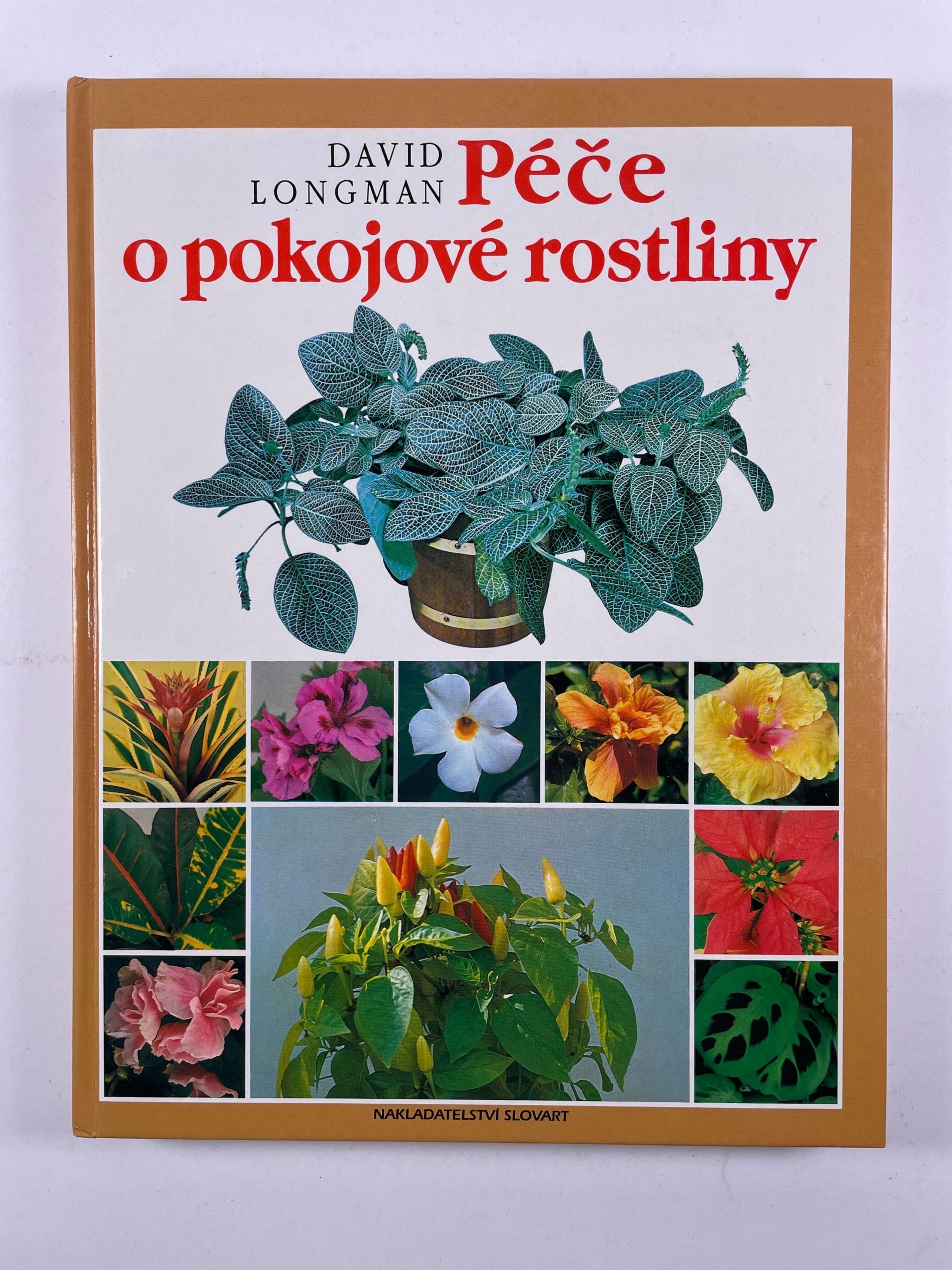 Levně Péče o pokojové rostliny Pevná (2003)