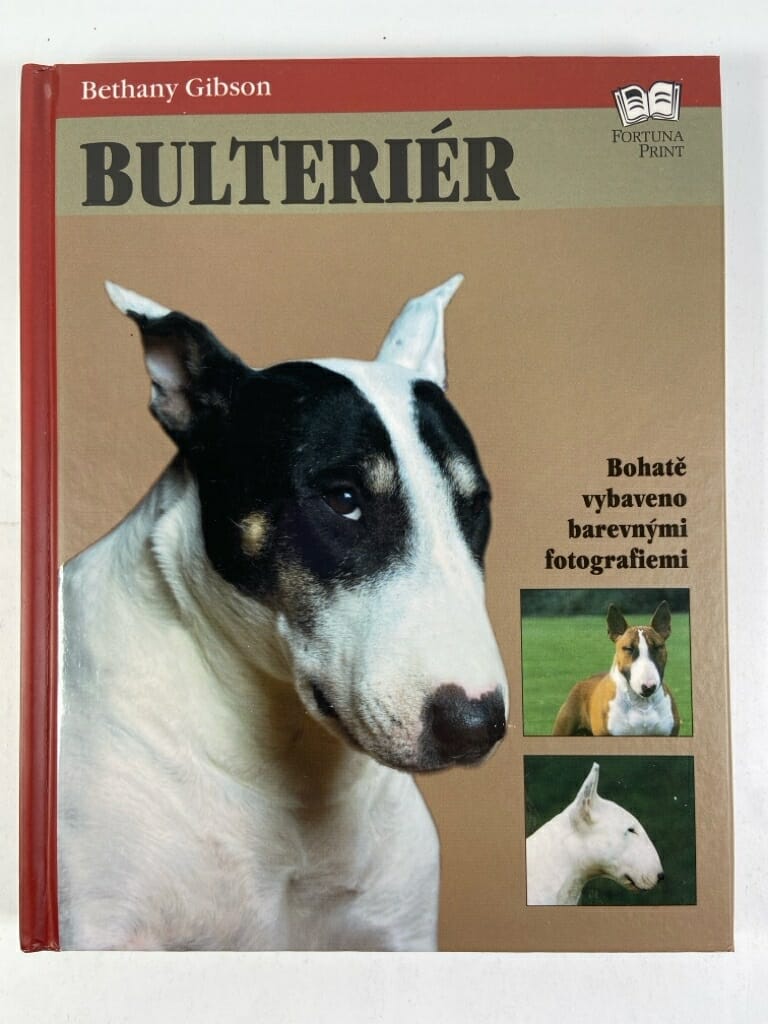 Levně Bulteriér