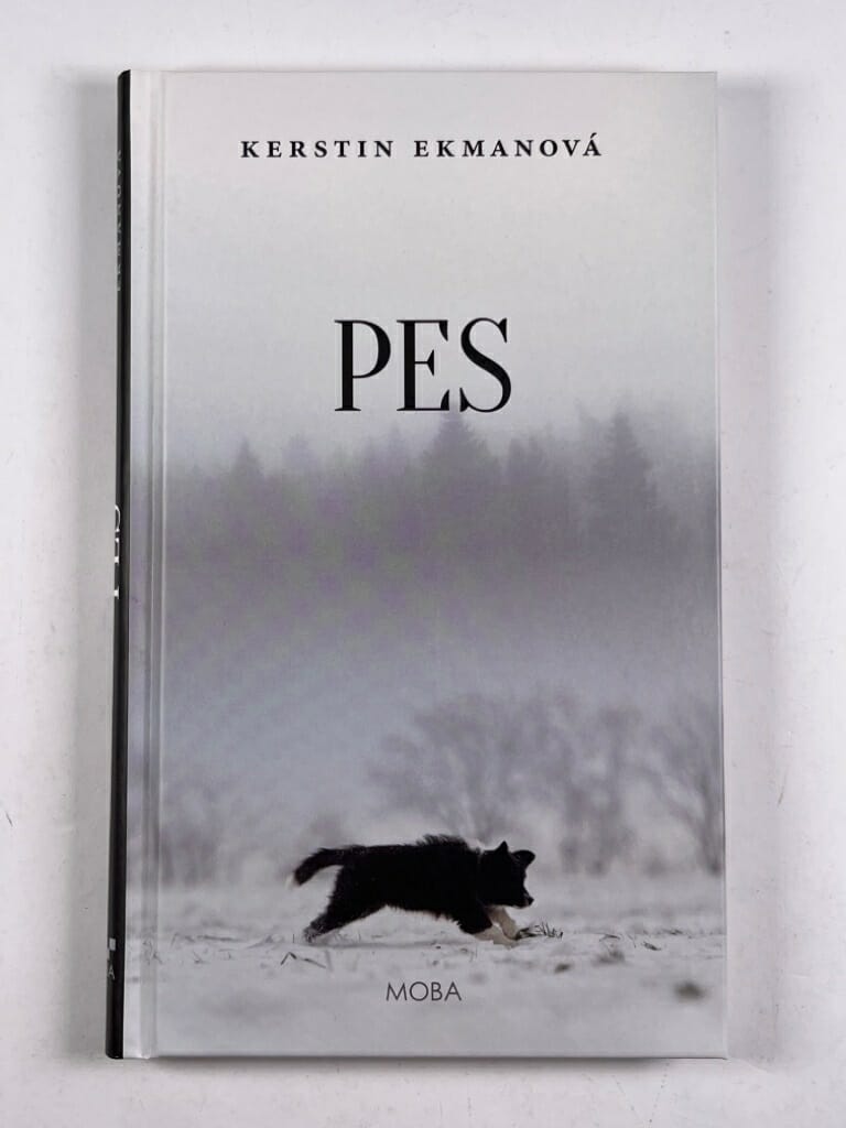Pes