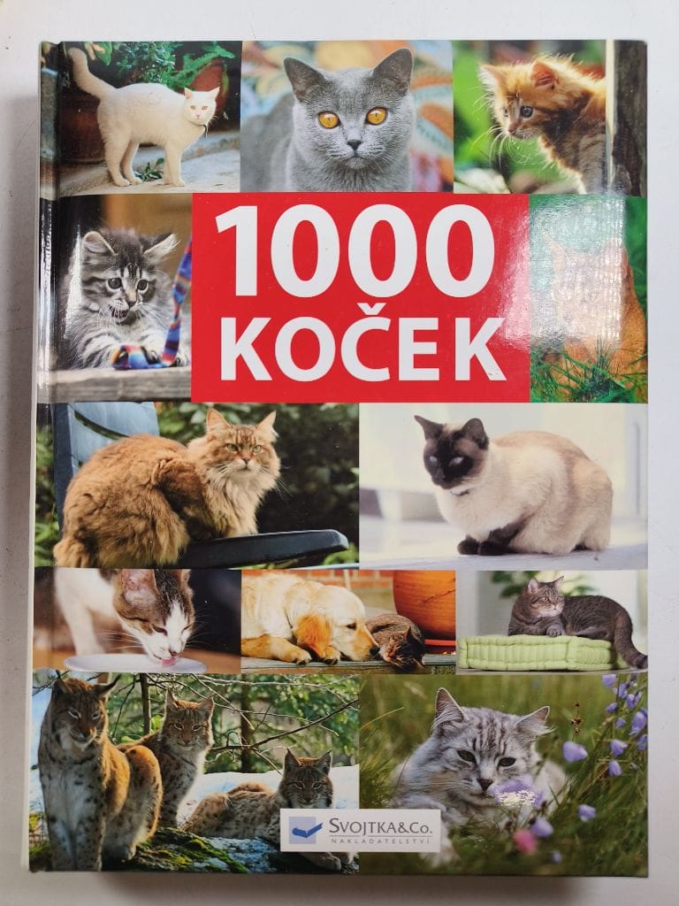 Levně 1000 koček