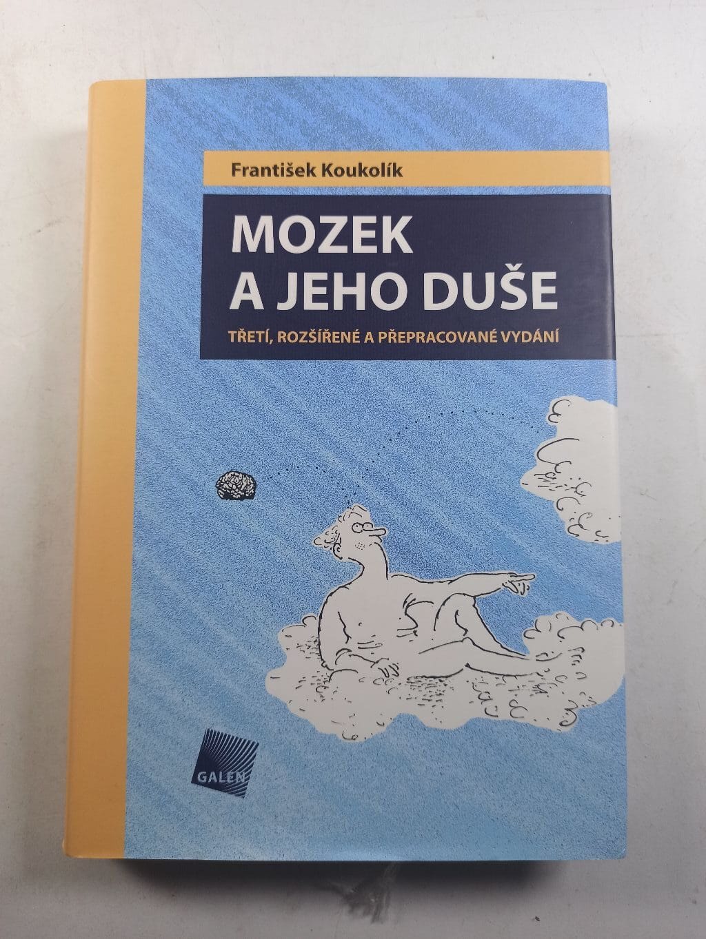 Levně Mozek a jeho duše Pevná (2005)