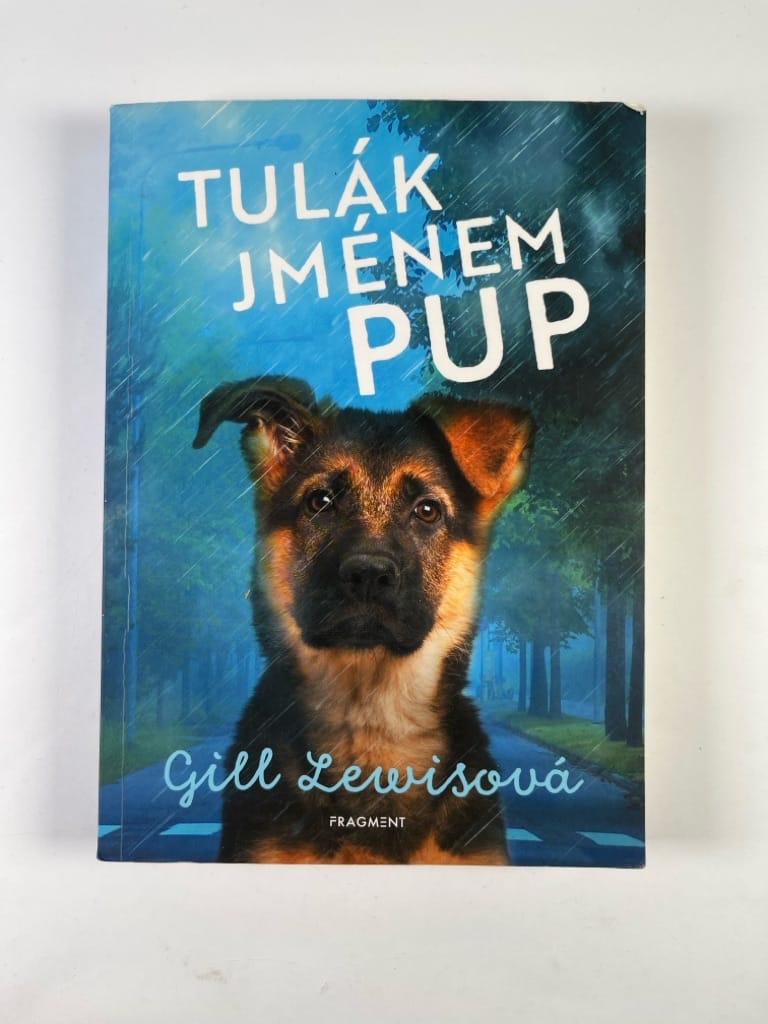 Levně Tulák jménem Pup
