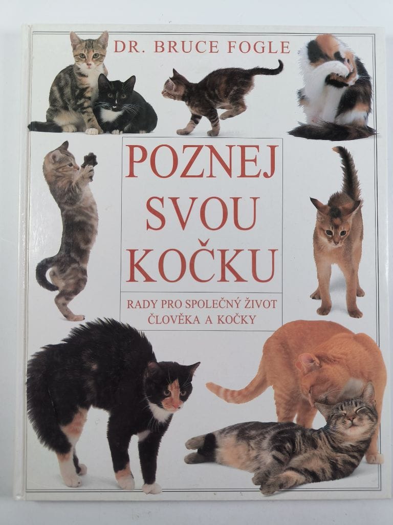 Poznej svou kočku