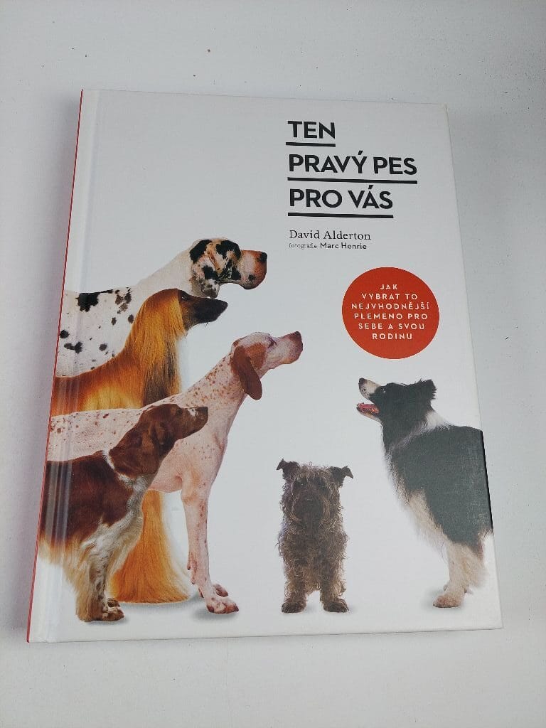 Ten pravý pes pro vás