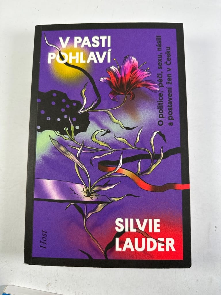 V pasti pohlaví: O politice, péči, sexu, násilí a postavení žen v Česku