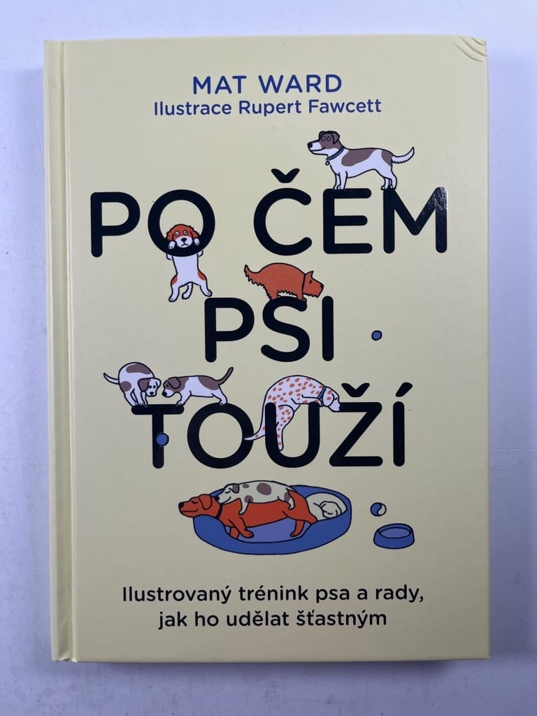Levně Po čem psi touží