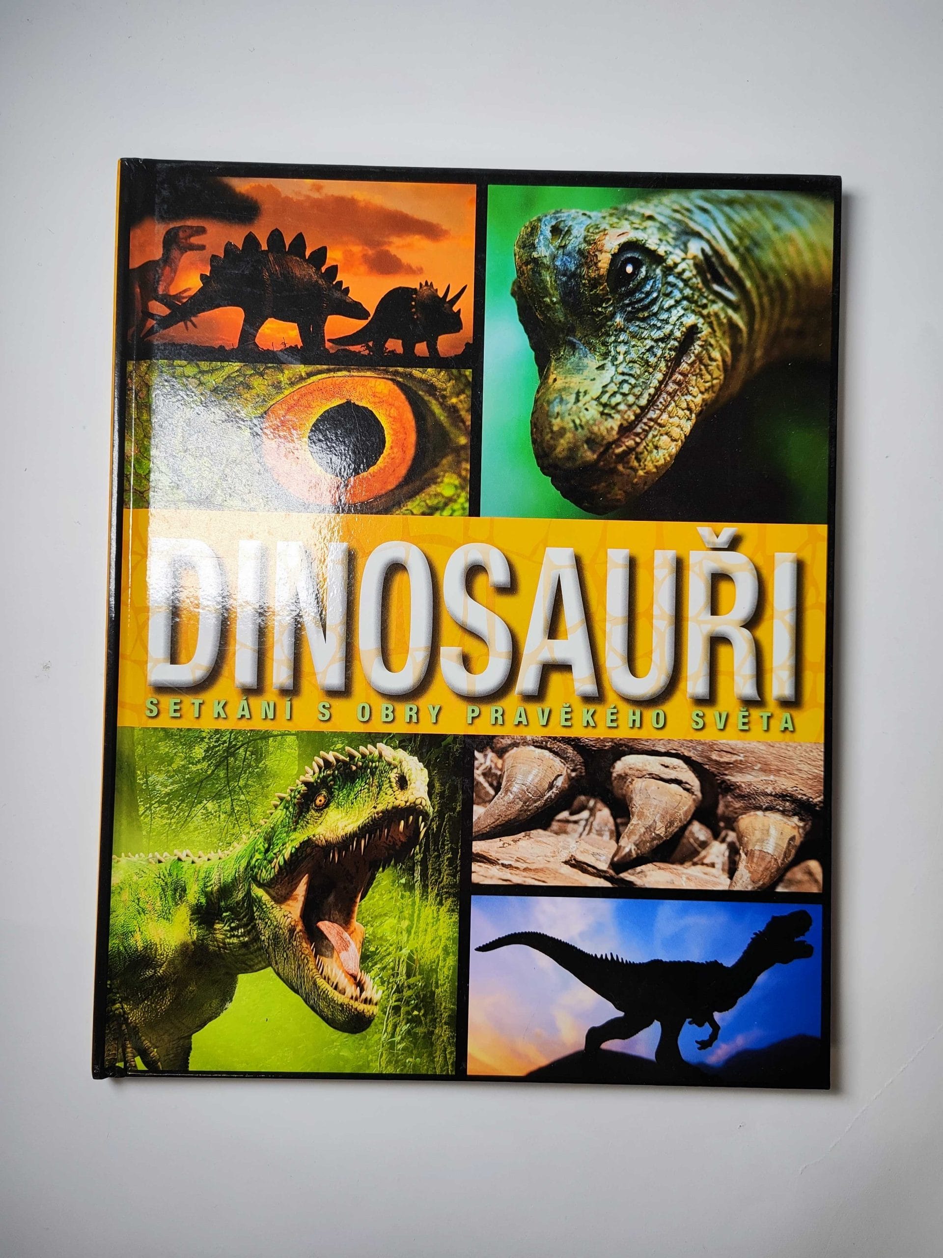 Levně Dinosauři: Setkání s obry pravěkého světa Pevná 2