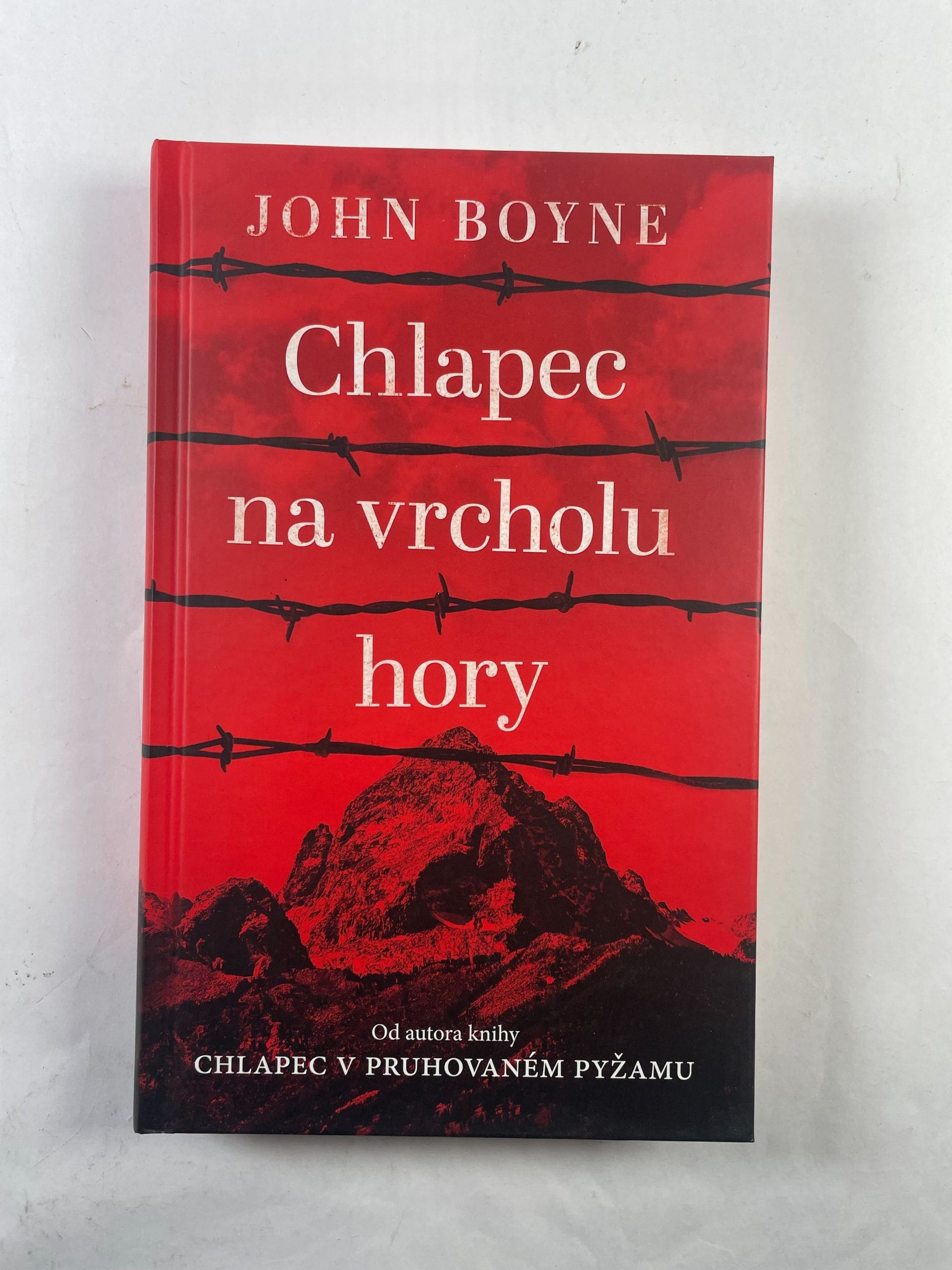 Chlapec na vrcholu hory Pevná 2017
